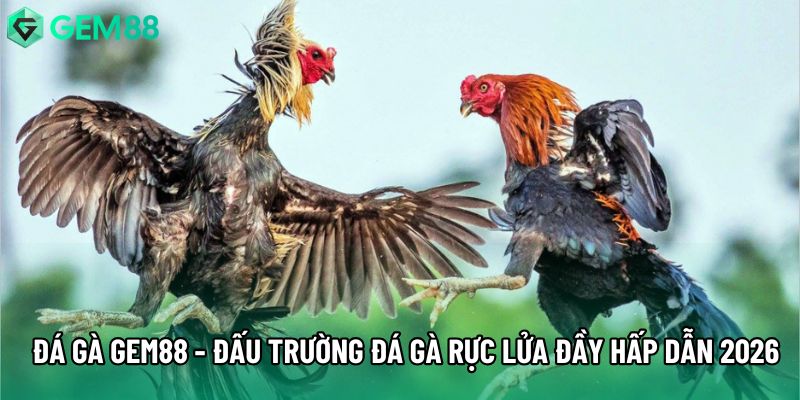 Đá Gà Gem88 - Đấu Trường Đá Gà Rực Lửa Đầy Hấp Dẫn 2026